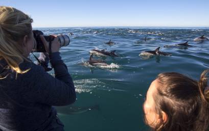 Photographers Dream