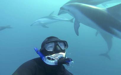 Underwater with dolphins