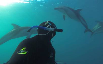 Underwater with dolphins
