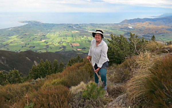 Read more on Kaikōura Forest and Bird Inc