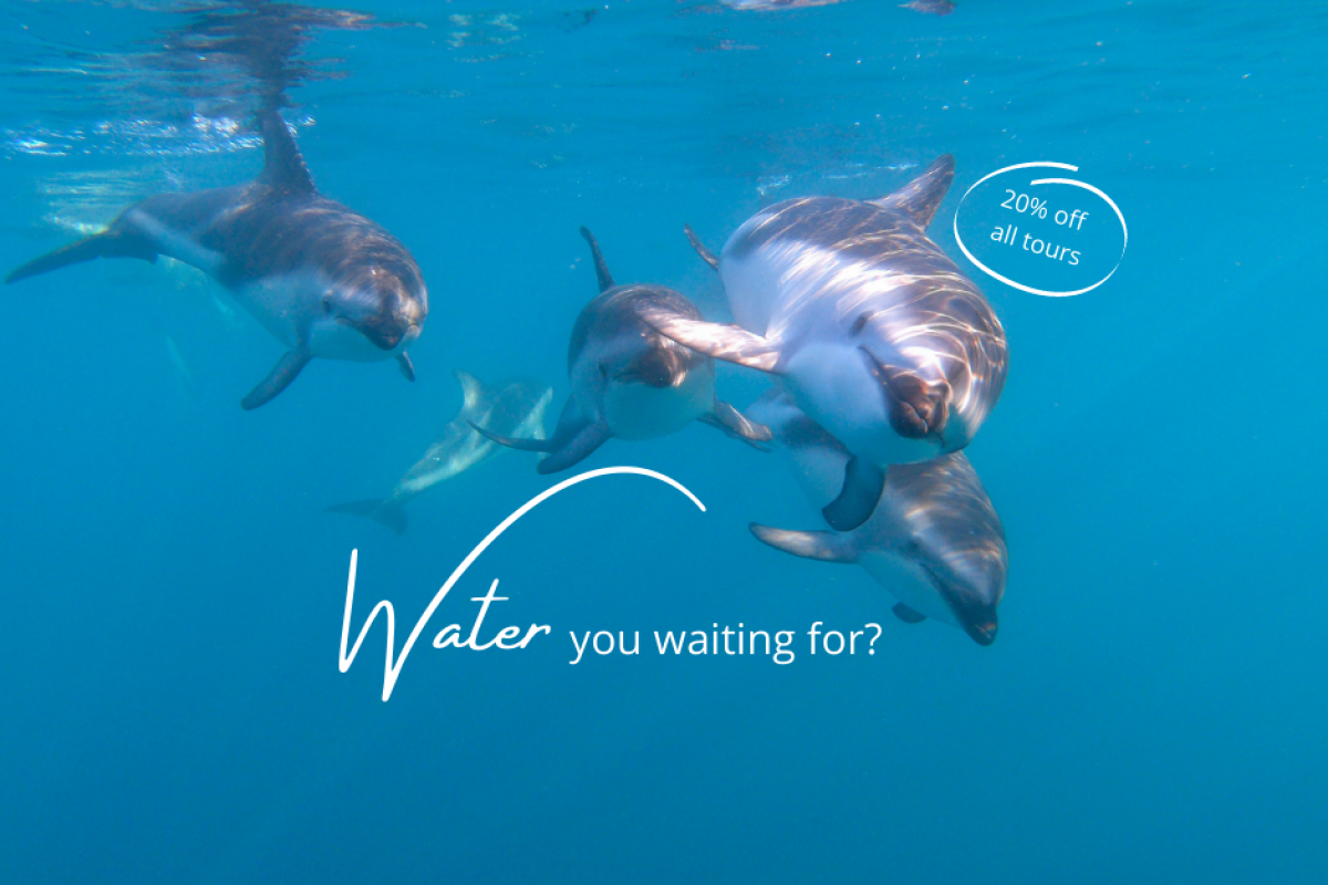 Water you waiting for?