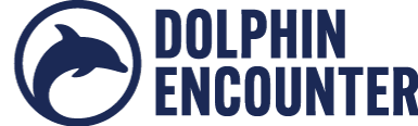 Dolphin Encounter